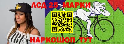 индика Славгород