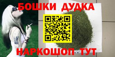 дмт Сланцы
