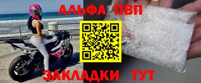 индика Славгород